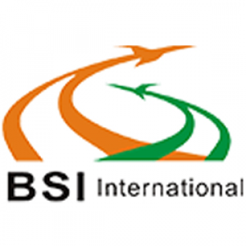 BSI